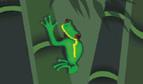 Tropical Bamboo Logo